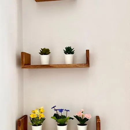 Moderno In Via Monginevro Apartment Turin