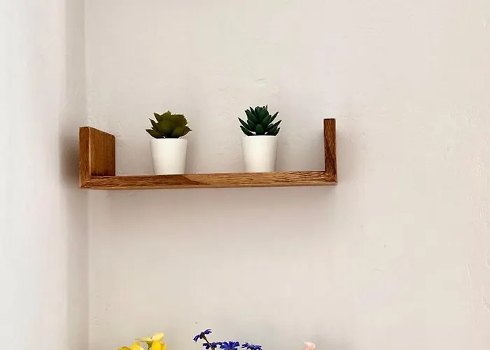 Moderno In Via Monginevro דירה טורינו